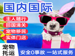 梅州梅县航空物流国际宠物托运 【国